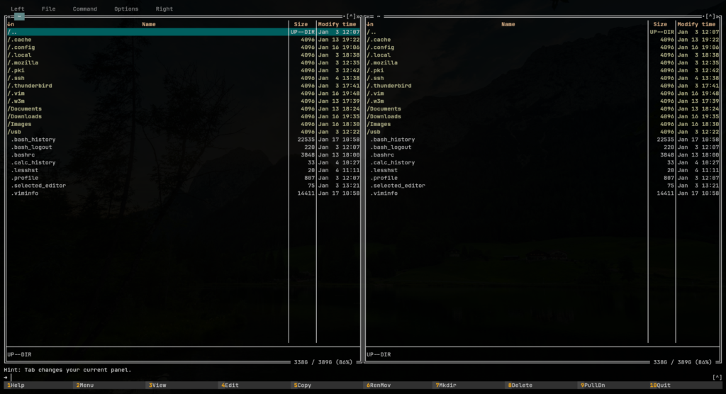 a screenshot about midnight commander dual panel view