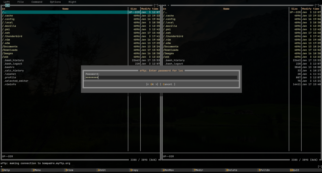 screenshot about midnight commander sftp connection